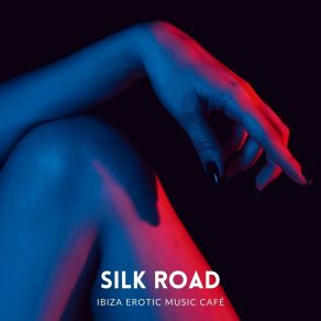 Silk Road: Erotic R&B album cover
