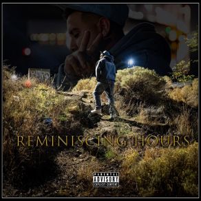 Reminiscing Hours album cover