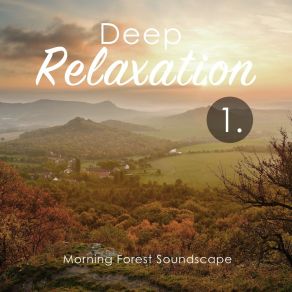 Deep Relaxation: Morning Forest Soundscape album cover
