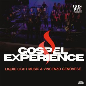Gospel Experience album cover