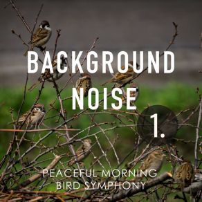 Background Noise: Peaceful Morning Bird Symphony album cover