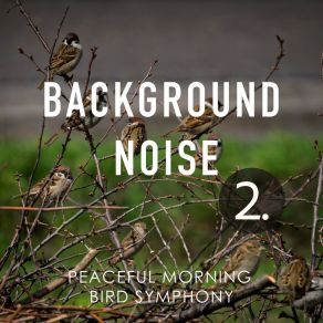 Background Noise: Peaceful Morning Bird Symphony 2 album cover