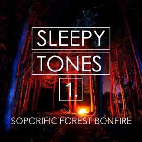 Sleepy Tones: Soporific Forest Bonfire album cover