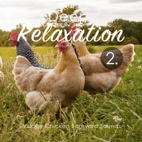 Deep Relaxation: Village Chicken Barnyard Sounds album cover