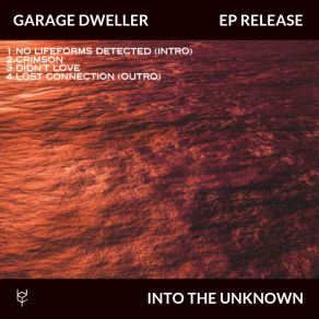 Into The Unknown album cover