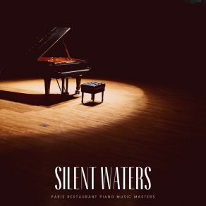 Silent Waters: Piano Sleep Music album cover
