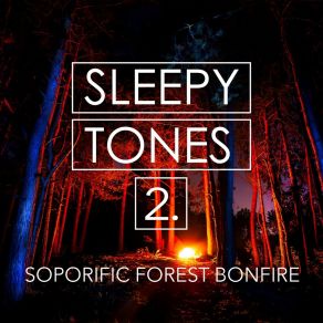 Sleepy Tones: Soporific Forest Bonfire 2 album cover