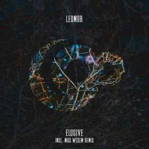 Elusive album cover