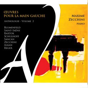 Maxime Zecchini - Anthologie Vol. 2 album cover