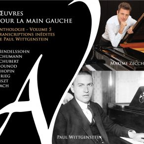Maxime Zecchini - Anthologie Vol. 5 album cover