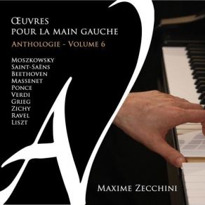 Maxime Zecchini - Anthologie Vol. 6 album cover