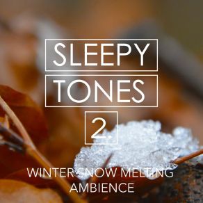 Sleepy Tones: Winter Snow Melting Ambience 2 album cover