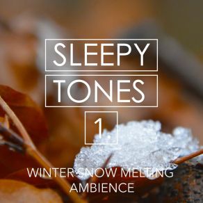 Sleepy Tones: Winter Snow Melting Ambience album cover