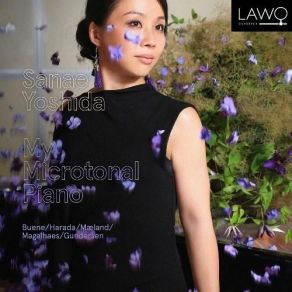 My Microtonal Piano - Sanae Yoshida album cover