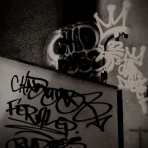 Feral album cover