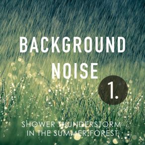 Background Noise: Shower Thunderstorm In The Summer Forest album cover