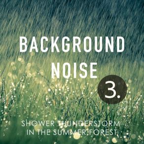 Background Noise: Shower Thunderstorm In The Summer Forest 3 album cover