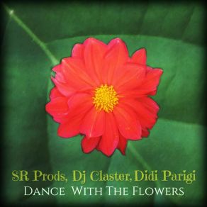 Dance With The Flowers album cover