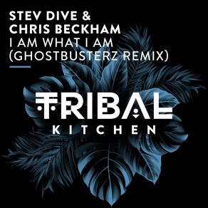 I Am What I Am (Ghostbusterz Remix) album cover