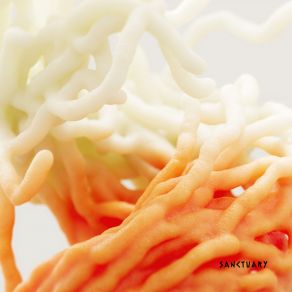 Virtual Input album cover