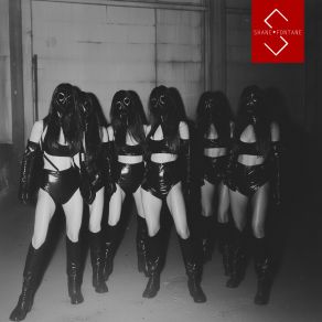 Bodysuit album cover