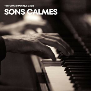 Sons Calmes: Piano Méditation album cover