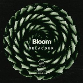 Bloom album cover