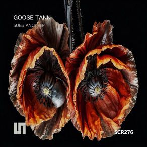 Substances (Ep) album cover