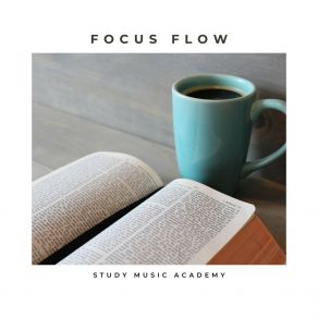 Focus Flow: Work Music album cover