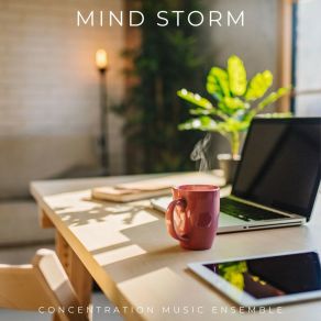 Mind Storm: Work Music album cover