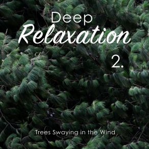 Deep Relaxation: Trees Swaying In The Wind 2 album cover
