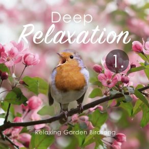 Deep Relaxation: Relaxing Garden Birdsong album cover