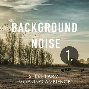 Background Noise: Sheep Farm Morning Ambience album cover