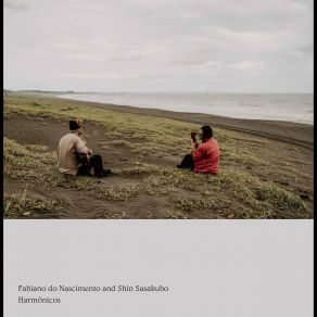 Harmônicos album cover