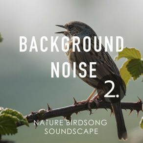 Background Noise: Nature Birdsong Soundscape 2 album cover