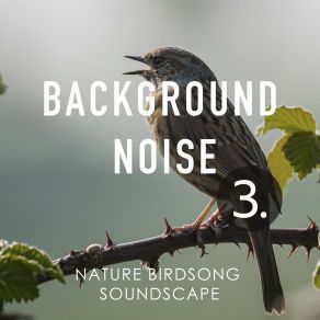 Background Noise: Nature Birdsong Soundscape 3 album cover