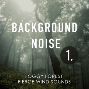 Background Noise: Foggy Forest Fierce Wind Sounds album cover