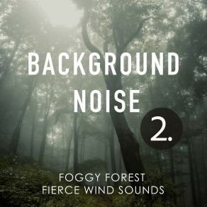 Background Noise: Foggy Forest Fierce Wind Sounds 2 album cover