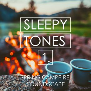 Sleepy Tones: Spring Campfire Soundscape album cover