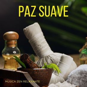 Paz Suave: Massagem Relaxante album cover