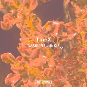 Bassline Junkie album cover