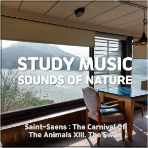 Study Music + Sounds Of Nature album cover