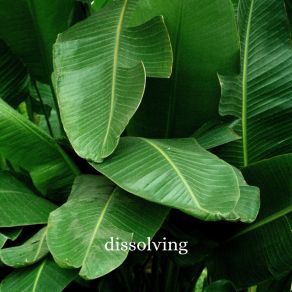 Dissolving album cover