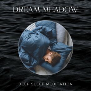 Dream Meadow: Sleep Aid Songs album cover