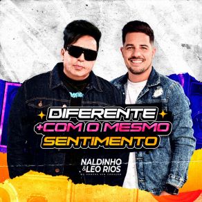 Diferente + Com O Mesmo Sentimento album cover
