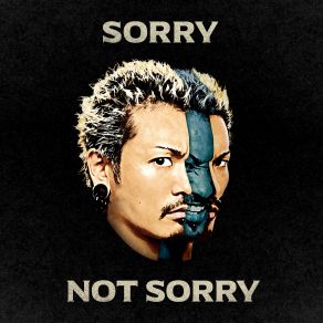 Sorry Not Sorry album cover