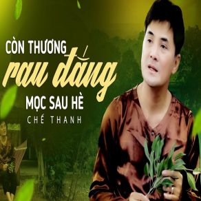Còn Thương Rau Đắng Mọc Sau Hè album cover