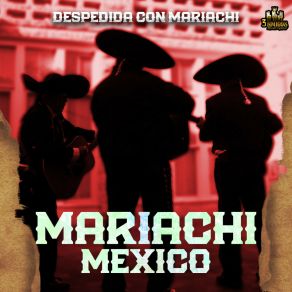 Despedida Con Mariachi album cover