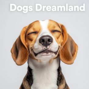Dogs Dreamland album cover