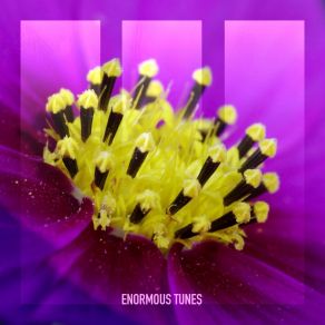 The Dream That Never Ends album cover